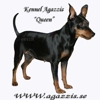 Queen